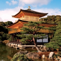 Japanese arts & cultural discovery tour