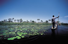 Wildlife & Wilderness of Botswana