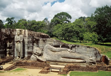 Sri Lankan Highlights
