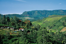  Highlands of Sri Lanka
