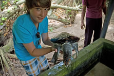 Tropical Island Wanderer - Family Holiday