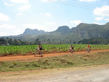 Cycling in Cuba's Cigar Country