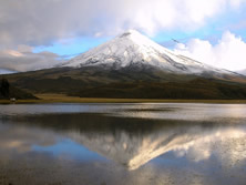 Andes to Amazon