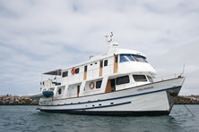 Galapagos at a Glance - Pelikano