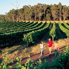 Discover the South-West 7-day self drive