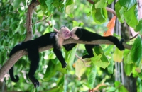 Costa Rica Adventure