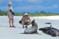 Tailormade Galapagos Islands