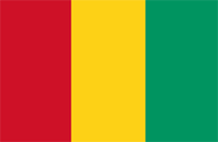 Guinea flag