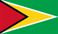 Guyana flag