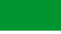 Libya flag