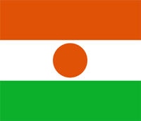 Niger flag
