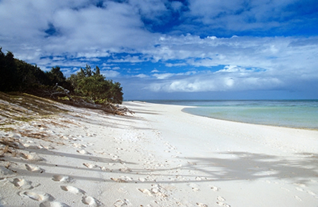 Heron Island Australia Heron Island Australia