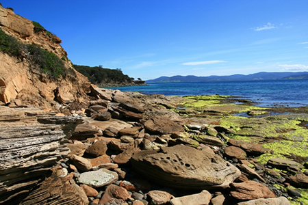 Maria Island Tasmania Australia Maria Island Tasmania Australia
