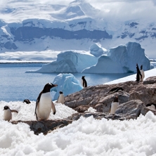 Antarctica Fly-Cruise