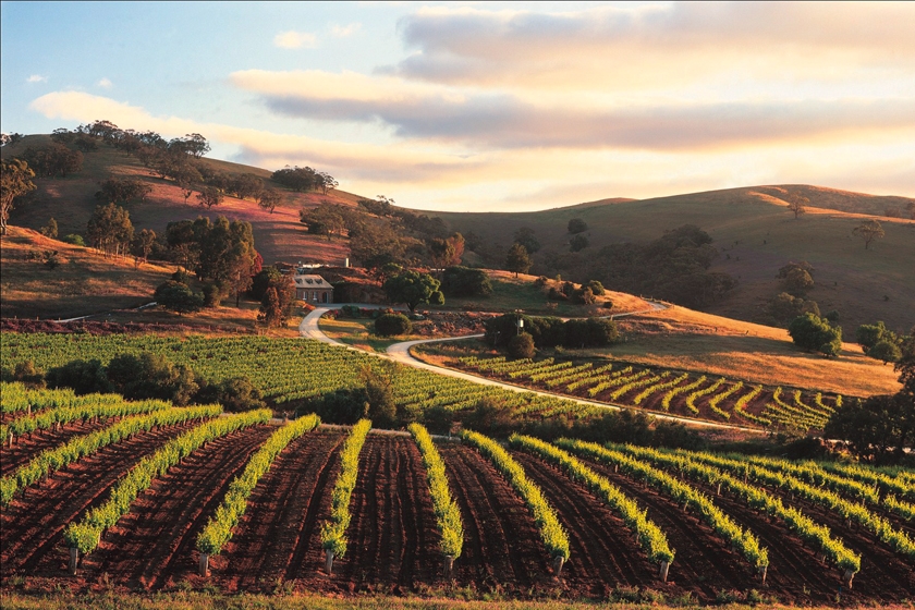 Wildlife Wine Of South Australia Wexas Travel