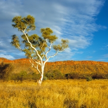 Spirit of the Outback