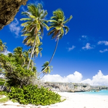 Barbados & Mustique