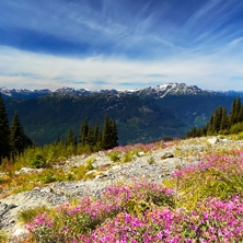 Portraits and Wildlife of British Columbia