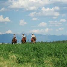 Three Bars Guest & Cattle Ranch