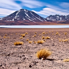 Highlights of Chile