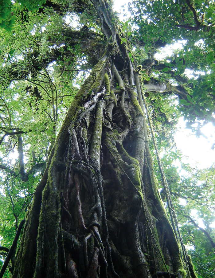 Costa Rica adventure holiday