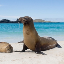 Grand Tour of Ecuador & The Galapagos