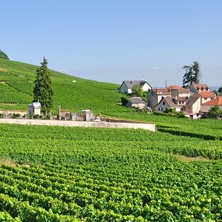 Flexible Champagne 4-day tour