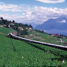 Venice Simplon - Orient Express