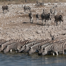 Namibia Air Safari