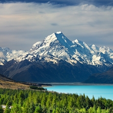 New Zealand Wonderland