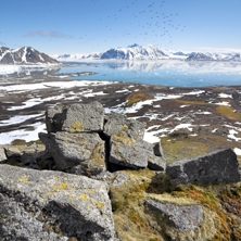 Spitsbergen & Tromso