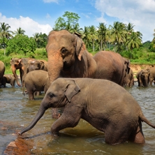Sri Lanka Boutique Experience