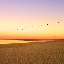 Southern New England 8-day luxury fly-drive