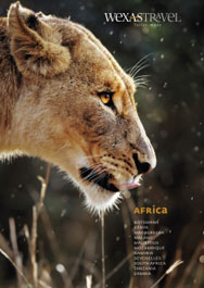 Africa