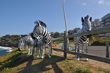 Sydney's Sculpture by the Sea 2012