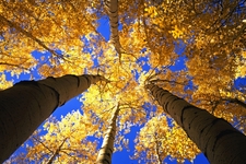 Best seasonal colours around the world