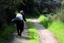 Cyprus - Paths to the Past
