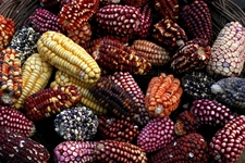 A taste of...Latin America