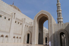 Travels in Arabia