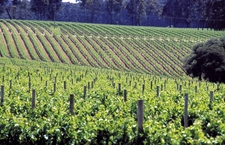 Margaret River to host food festival
