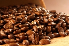 Guide to the world's best coffee regions