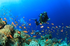 World's Top Dive Sites