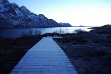 Just back from: The Lofoten Islands