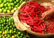 A taste of...South East Asia