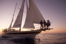 Explore Australia's islands and waterways
