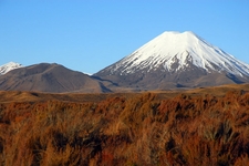 New Zealand volcano flight disruption