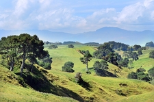 Best books on...New Zealand