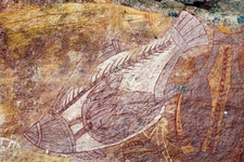 Highlights of the Northern Territory