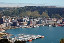 24 hours in Wellington