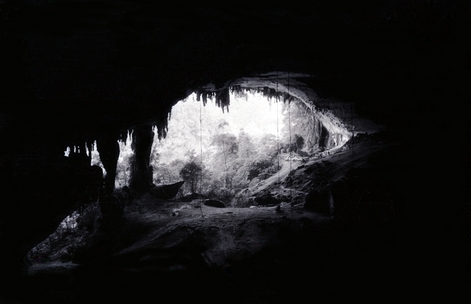 Echoes of a Vanished World